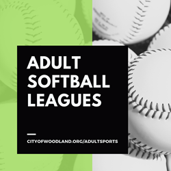 Presentational Adult Softball Summer1 2026 visual