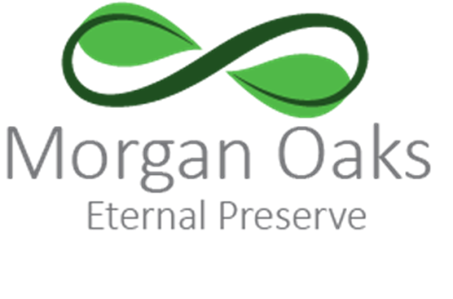 Morgan Oaks Eternal Preserve website