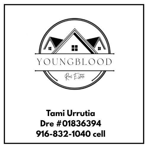Youngblood Real Estate website