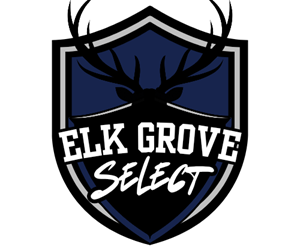 Presentational Select Team Try Outs visual