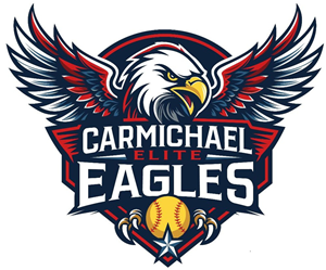 Presentational 10U Select visual