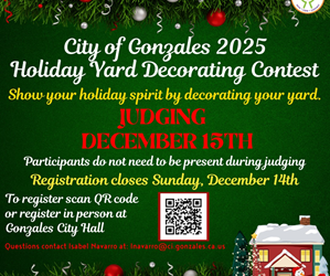 Presentational 2025 Holiday Yard Decorating Contest visual