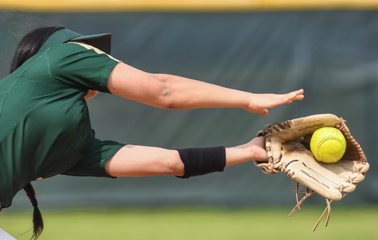 Softball Game Day Check In link
