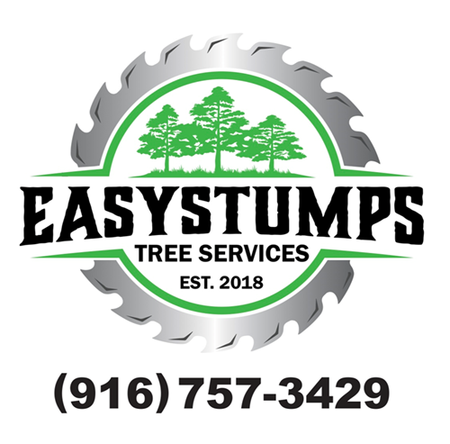 Easystumps website