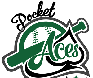 Presentational 2026 Pocket Select Program visual