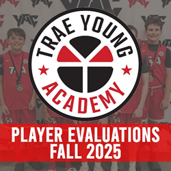 Presentational Trae Young Academy Player Evaluations visual