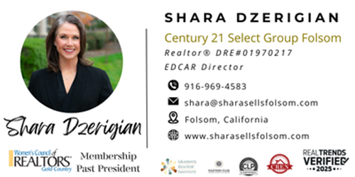 Shara Dzerigian Realtor website