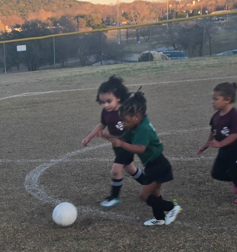 Soccer ball on grass