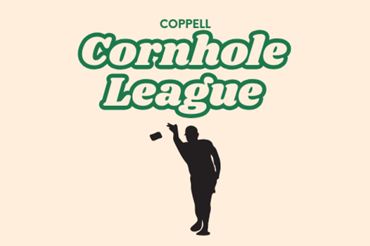 Adult Cornhole  link