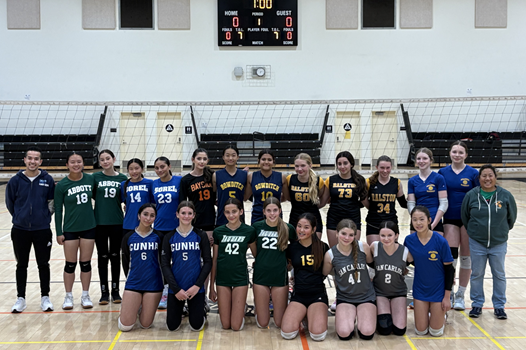 2024 Girls Volleyball All Stars link