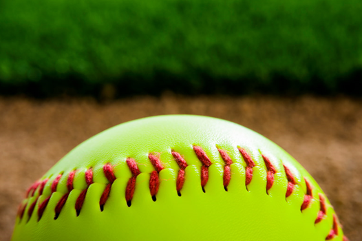 ADULT SOFTBALL SPRING LEAGUE link