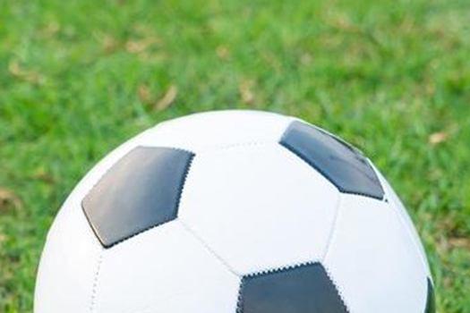 Sports For Life link