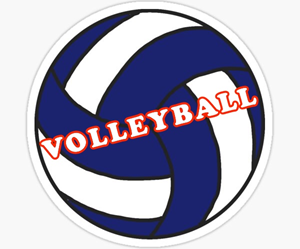 Presentational 4-8 Volleyball 2026 visual