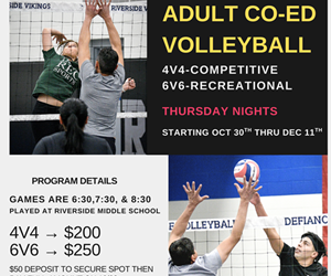 Presentational Adult Co-Ed Volleyball League visual