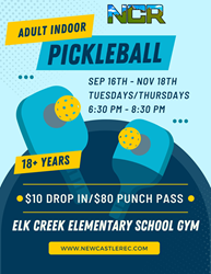 Presentational 2025 Adult Indoor Pickleball visual