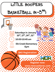 Presentational Little Hoopers Basketball (K-3rd) visual