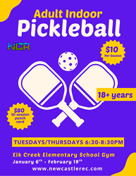 Presentational 2026 Adult Indoor Pickleball visual