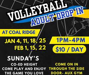 Presentational Sunday Adult Volleyball Drop-In visual
