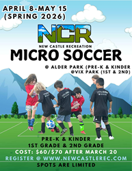 Presentational Spring Micro Soccer visual