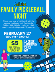 Presentational Family Pickleball Night visual