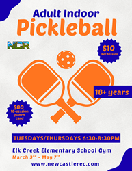 Presentational 2026 Adult Indoor Pickleball Session II visual