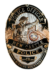 Presentational New Castle Youth Police Academy visual