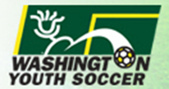 BACKGROUND CHECK FOR WA YOUTH SOCCER VOLUNTEERS link