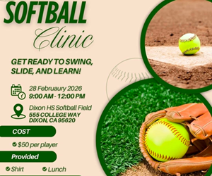 Presentational DGS Spring Clinic - Hosted by Lady Rams visual