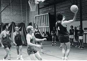 Presentational Fall Basketball visual
