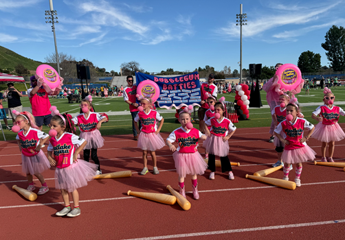 Follow Us on instagram link