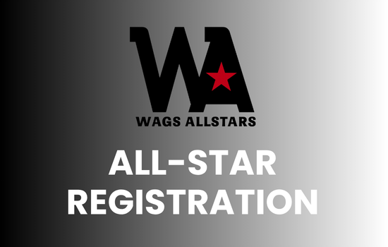 All-Star Packages link