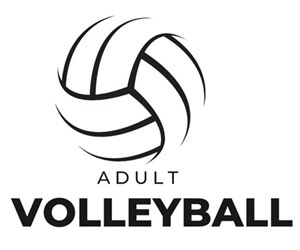 Presentational Adult Fall Volleyball visual