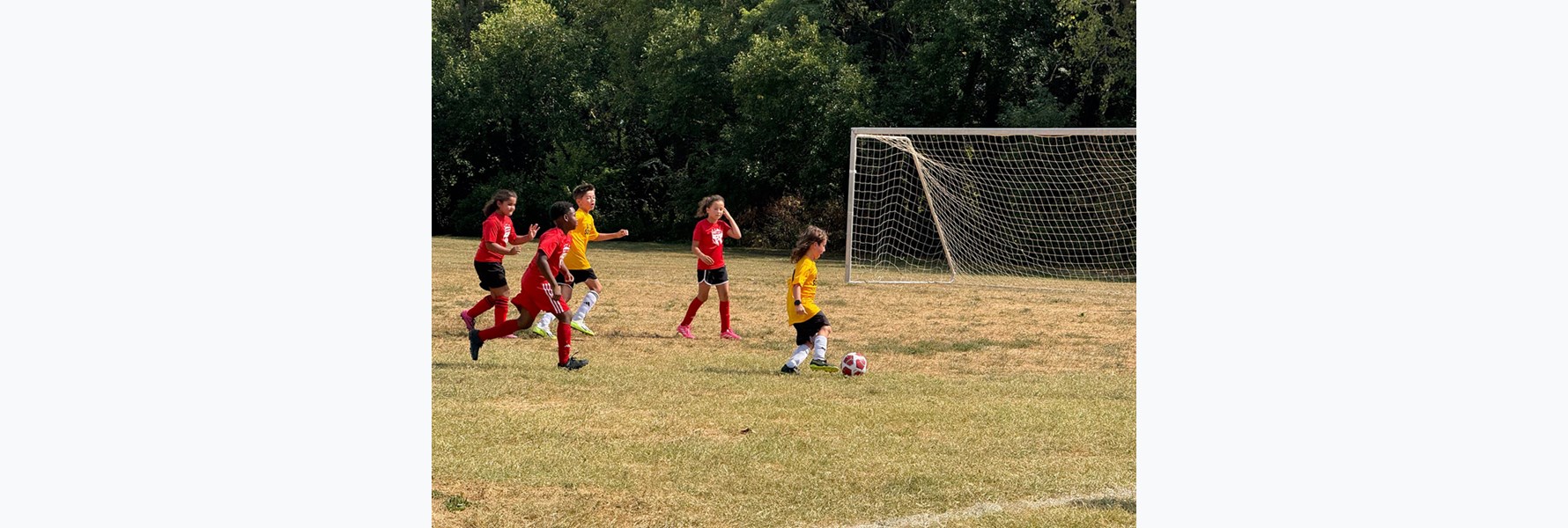 Photo gallery image 1