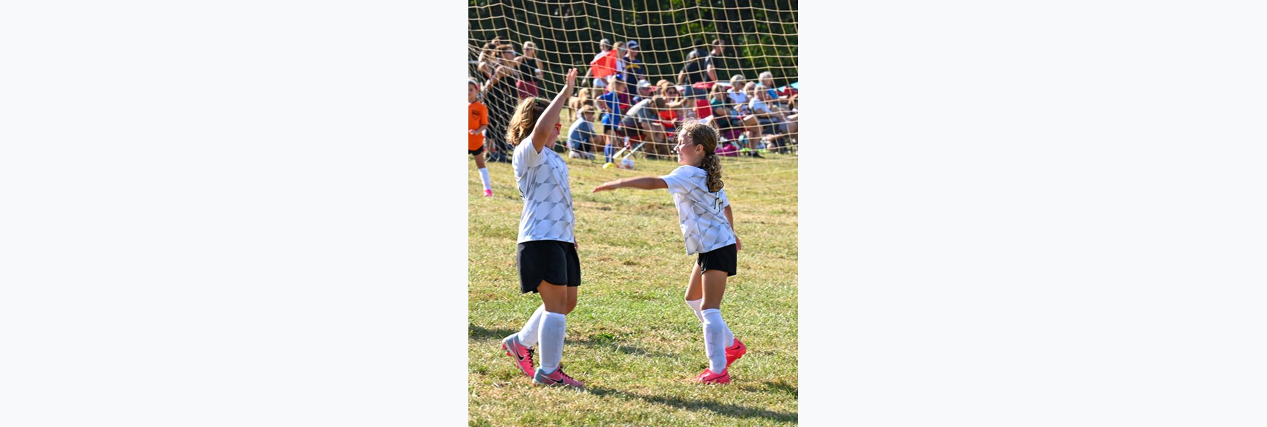 Photo gallery image 7