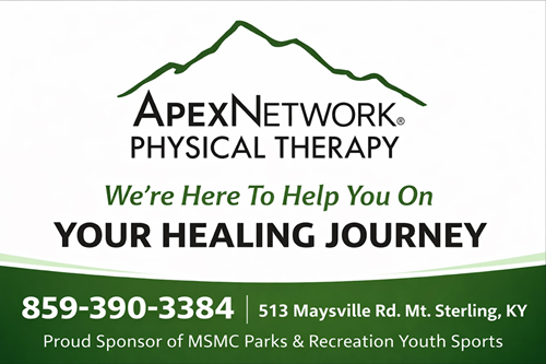 ApexNetwork Physical Therapy website
