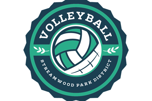 Youth Volleyball link