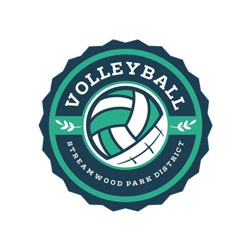 Volleyball website