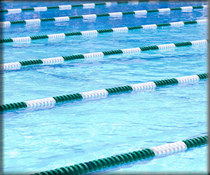 Presentational 2026 Summer Swim Team visual