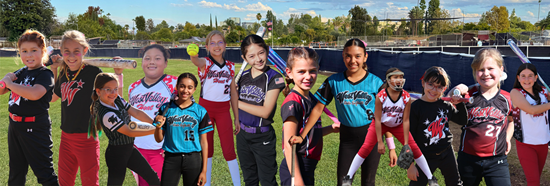 Improve Our Fields link