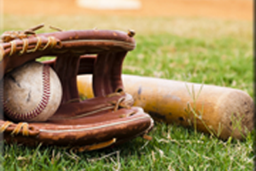 BASEBALL & FAST PITCH CAMP link