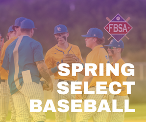 Presentational Spring Select Baseball visual
