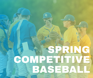 Presentational Competitive Baseball (AA) visual