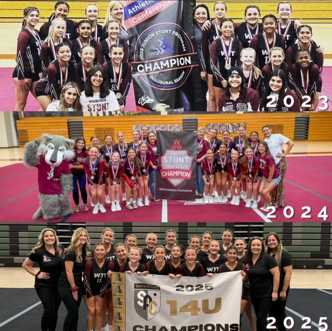 Youth Soccer Kicking Ball