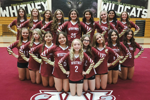 Presentational 2026 STUNT Registration visual