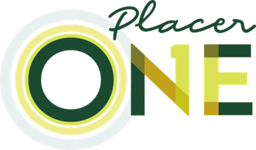 Placer One website