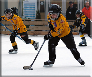 Presentational Adult Pond Hockey: Individual Player Registration visual