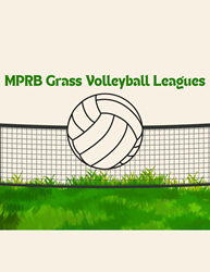 Presentational Adult Grass Volleyball: Self Officiated visual