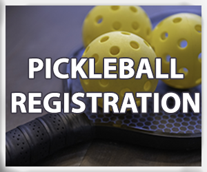 Presentational ADULT PICKLEBALL visual