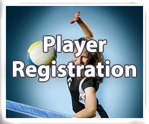 Presentational Youth Volleyball visual