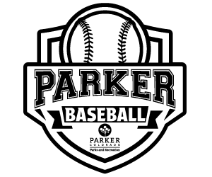 Presentational Youth Baseball visual